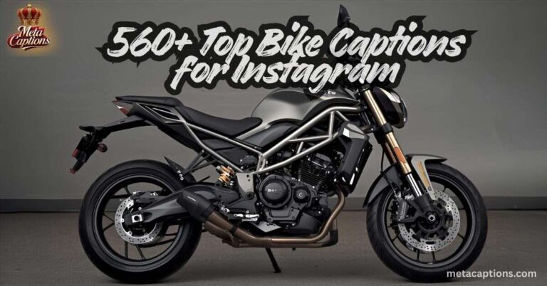 560-top-bike-captions-for-instagram
