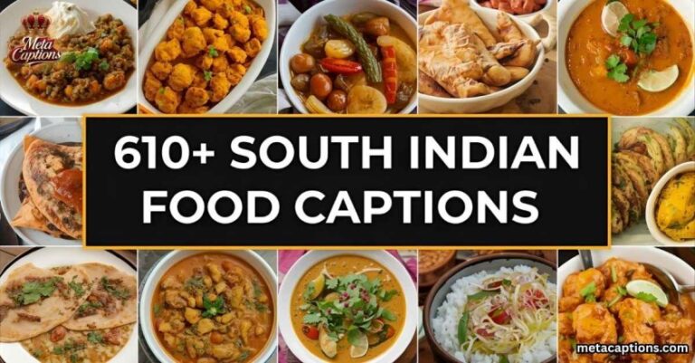 south-indian-food-captions-for-instagram