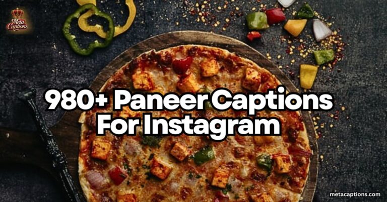 paneer-captions